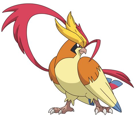 Mega Pidgeot .
